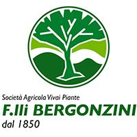 segnaposto200 segnaposto200
