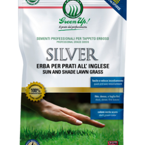 SILVER - ERBA PER PRATI ALL'INGLESE