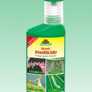 Spruzit® Insetticida Concentrato