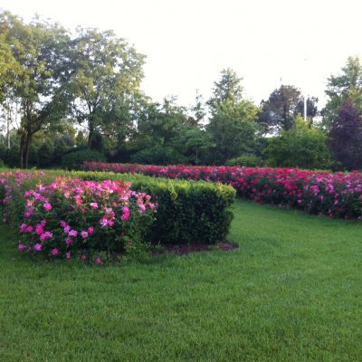 PARCO PRIVATO